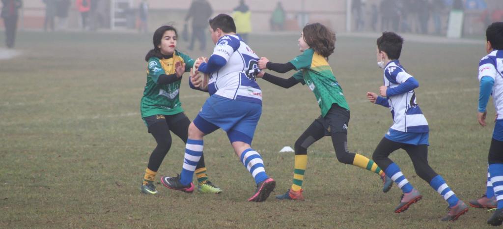 El Tapin - Cuatro fueron los partidos disputados está semana por los equipos de la Asociación Llanerense de Rugby.