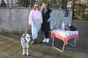 El Tapin - Se recogen firmas para solicitar la creación de un parque para perros en Posada de Llanera