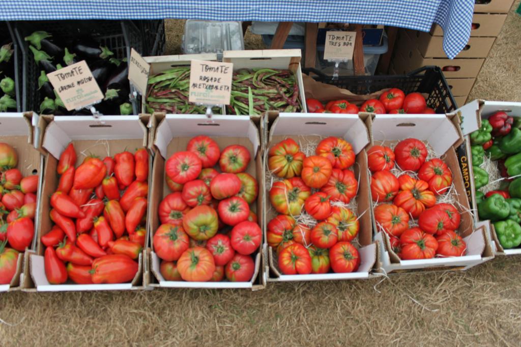 El Tapin - Rural Ecolab presentó en FAPEA las nueve variedades de tomate que cultivan
