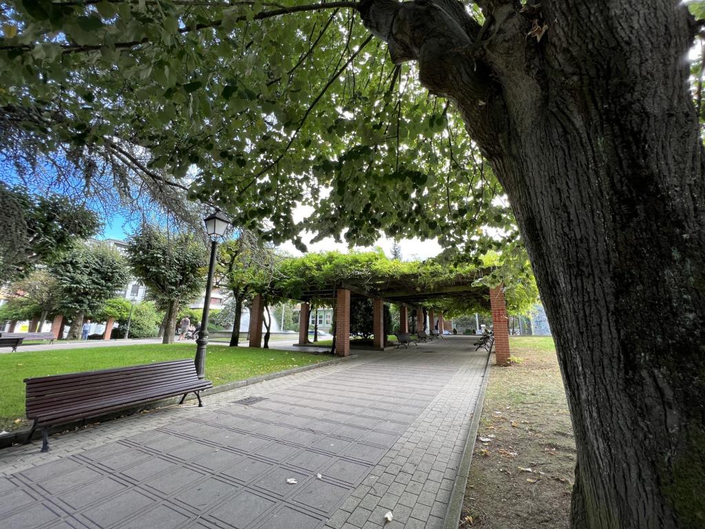 El Tapin - El Ayuntamiento de Siero adjudica las obras de renovación una de las pérgolas del parque Alfonso X de Pola de Siero