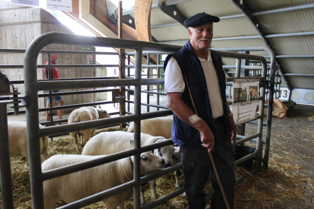 El Tapin - El ganadero llanerense, Manuel del Valle, acudió con sus ovejas texel a Agrosiero