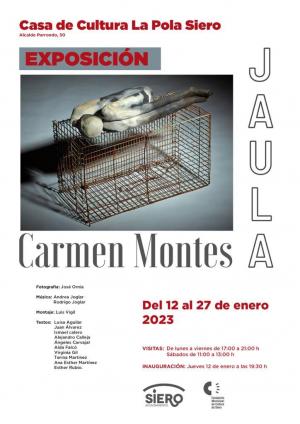 El Tapin - La exposición de Carmen Montes “Jaula” se podrá visitar del 12 al 27 de enero en la Casa de Cultura de Pola de Siero