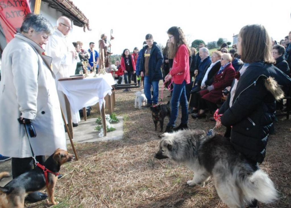 El Tapin - Robledo celebra Sant Antón del 20 al 22 de enero