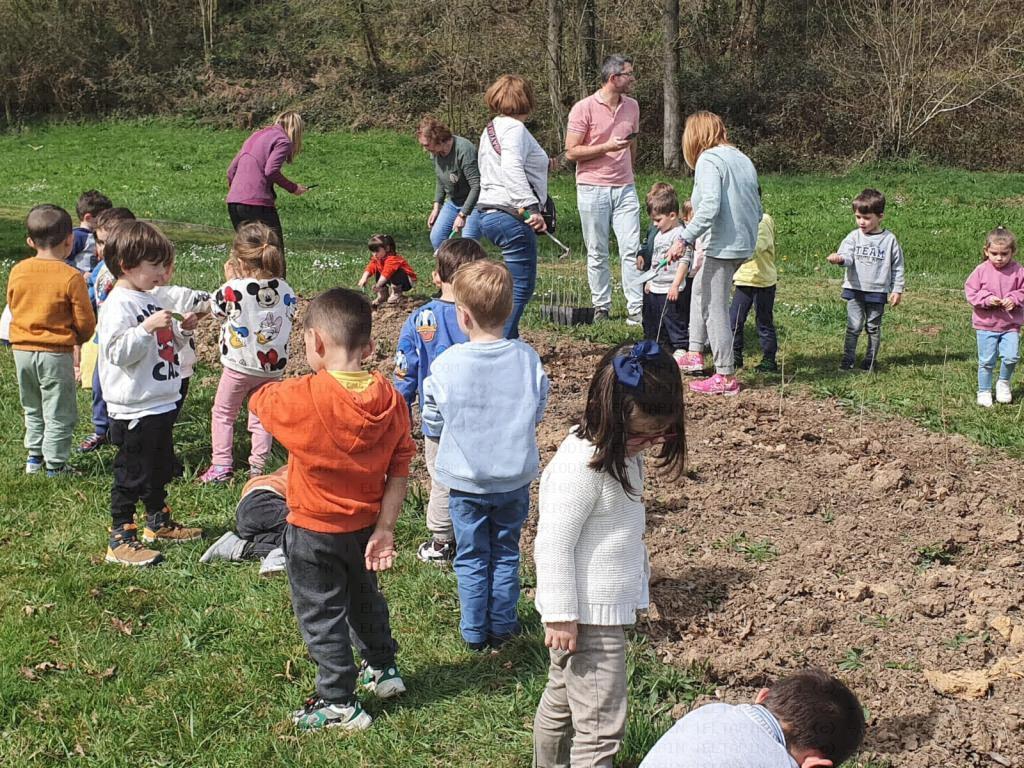 El Tapin - El colegio Peña Careses celebró el Día del Árbol