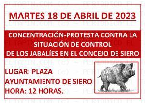 El Tapin - Se convoca una concentración anti jabalíes en Pola de Siero el martes 18 de abril a las 12 horas