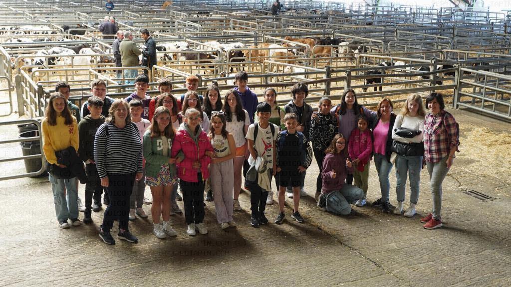 El Tapin - Alumnos del IES Severo Ochoa de Luarca visitaron el Mercado de Ganado de Pola de Siero
