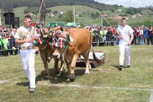 El Tapin - Los bueyes de Iñaki Oliden y Ainhoa Gabirondo ganaron el segundo campeonato de arrastre de bueyes celebrado en la Feria de San Isidro