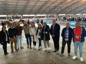 El Tapin - El IX concurso regional de ganado equino de la montaña asturiana cuenta con 72 ganaderías