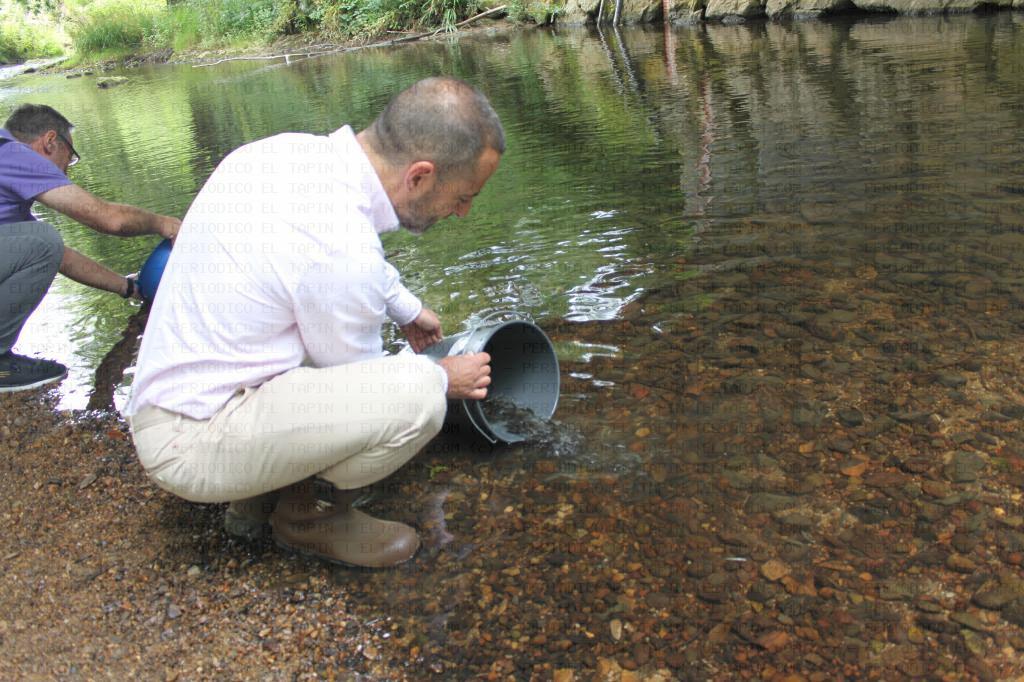 El Tapin - El Río Negro servirá de proyecto piloto para conocer el estado de los ríos de Siero a la hora de repoblarlos con truchas