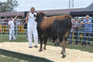 El Tapin - La vaca “Modelo” de la Ganadería La Era de Bonielles alcanzó el precio más alto en la Subasta élite: 3.500 euros