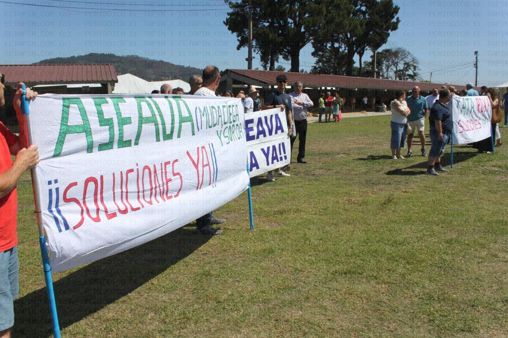 El Tapin - Los trabajadores de Xata Roxa piden la dimisión de la Junta de Gobierno y el equipo directivo de ASEAVA