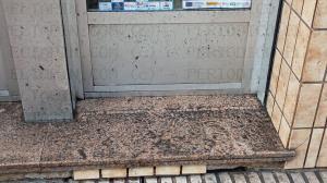 El Tapin - Malestar entre vecinos y comerciantes de Posada porque se supone que una de más máquinas de la limpieza ha dejado las fachadas y cristales sucios de barro