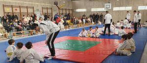 El Tapin - Dos centenares de jugokas participaron en el Torneo organizado por el Judo Llanera