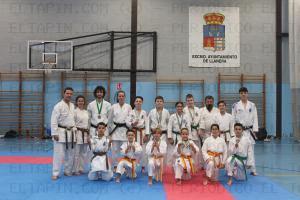 El Tapin - Los karatecas llanerenses realizaron una gran actuación en el campeonato de Asturias
