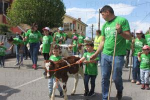 El Tapin - GALERÍA DE IMÁGENES: Llanera inicia la celebración de San Isidro