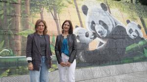 El Tapin - La Pola cuenta con un nuevo mural de una familia de osos panda