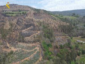 El Tapin - La Guardia Civil de Asturias investiga a una persona por un delito de Incendio Forestal ocurrido en Las Regueras