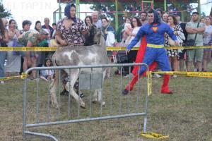 El Tapin - Collao cierra sus fiestas con la carrera de burros