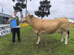 El Tapin - Asturiana, la vaca de Mariñes que puede ser Miss Ternera