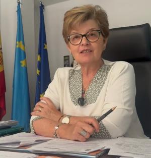 El Tapin - A discusión la convocatoria de un pleno en Las Regueras