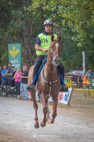 El Tapin - Las Regueras acogió el Campeonato de Asturias Absoluto de Resistencia Ecuestre