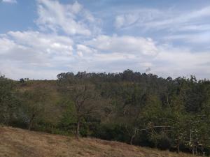 El Tapin - Las Regueras saca a licitación la obra de prevención de incendios forestales y la mejora de infraestructuras agrarias por 113.379,05 euros 