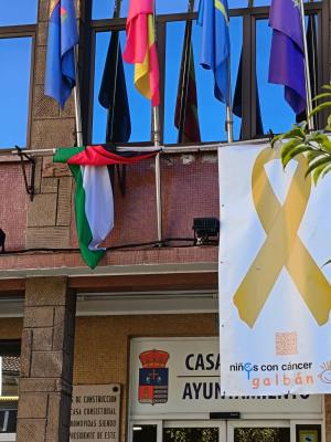 El Tapin - VOX Llanera solicita la retirada inmediata de la bandera palestina del balcón municipal