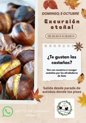 El Tapin - La Asociación de Vecinos de Soto de Llanera arranca con las actividades