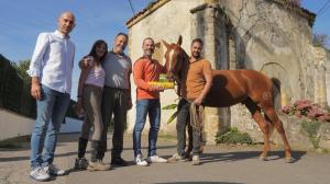 El Tapin - La Yeguada Santa Lucía cuenta con el caballo subcampeón de España de la prueba de selección de reproductores 