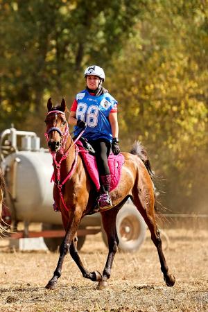 El Tapin - Cinco binomios del Club Ecuestre Arabian participarán el 1 de noviembre en el campeonato de España Interautonomías de Raid