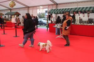 El Tapin - Abierto el plazo de inscripción para participar en el mercadillo “Llanera Navidad”