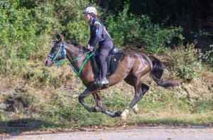 El Tapin - Claudia Gil, subcampeona de España por equipos en Raid