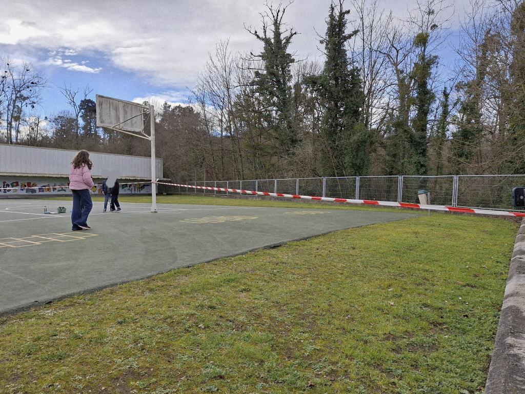 La caída de un árbol ha hecho que se cerrara la mitad del patio del colegio Santa Bárbara