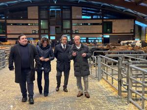 El Tapin - El Partido Popular acusa al alcalde de Siero y al Principado de estar jugando con el mercado de la Pola y poniendo en riesgo el futuro de una referencia para el sector ganadero