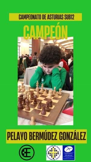 El Tapin - El llanerense, Pelayo Bermúdez, se proclama Campeón de Asturias de ajedrez Sub-12