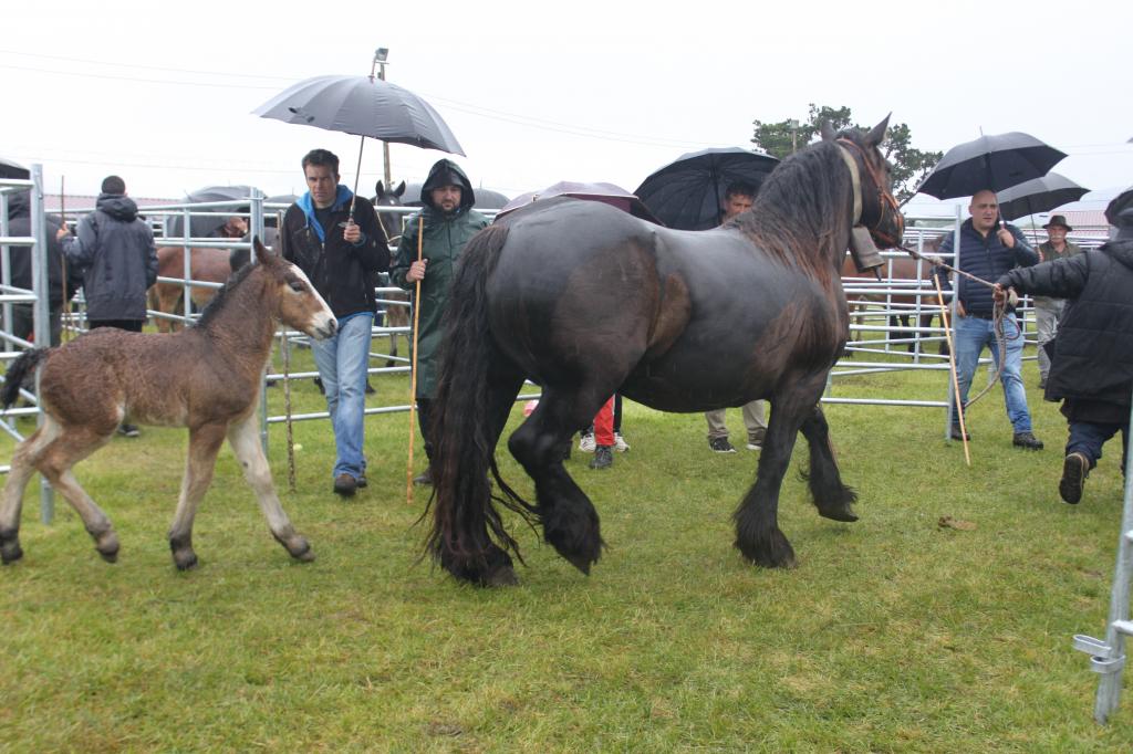 El PP cuestiona el anuncio del gobierno socialista sobre San Isidro: “No se puede destruir un modelo y ahora fingir que se lidera la solución”