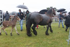 El Tapin - El PP cuestiona el anuncio del gobierno socialista sobre San Isidro: “No se puede destruir un modelo y ahora fingir que se lidera la solución”