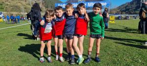 El Tapin - El Llanera Atletismo consigue grandes resultados en el campeonato de Asturias de cross