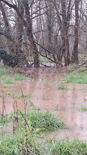 El Tapin - Se desborda el río Noreña en Argüelles y corta el acceso a La Belga