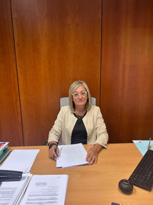 El Tapin - VOX exige la dimisión del concejal de Seguridad de Llanera por negar los problemas de seguridad y menospreciar a los vecinos