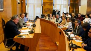 El Tapin - El pleno municipal da luz verde a la modificación de crédito para el uso del remanente líquido de tesorería de 2025 por importe de 10.976.350 euros