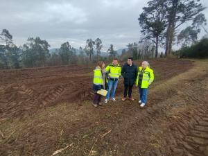 El Tapin - El Ayuntamiento de Llanera finaliza los trabajos de creación de pastizales en montes de Ables con una inversión de 43.431 euros