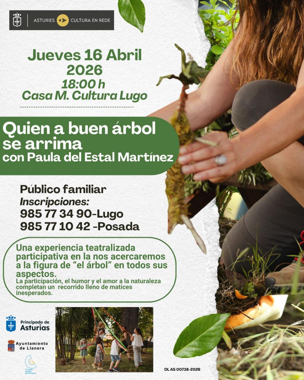 Cultura propone "Quien a buen árbol se arrima"... una actividad para acercarse a la figura del árbol desde múltiples perspectivas