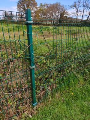 El Tapin - Foro Siero exige mejoras urgentes en el parque canino de El Berrón