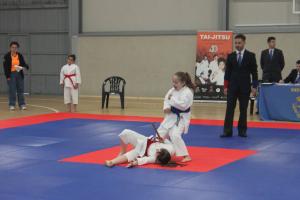 Nueva victoria del Club Tai-Jitsu Llanera en el Campeonato de Asturias de Goshin Shobu y Kumite