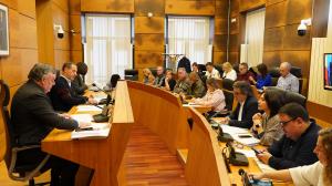 El Tapin - El pleno de Siero aprueba el convenio con ADIF y la integración de las EEI La Manzana y El Carmín en la red autonómica de escuelinas