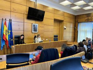 El Tapin - El Consejo Escolar Municipal de Siero aborda nuevas mejoras para los centros educativos del concejo