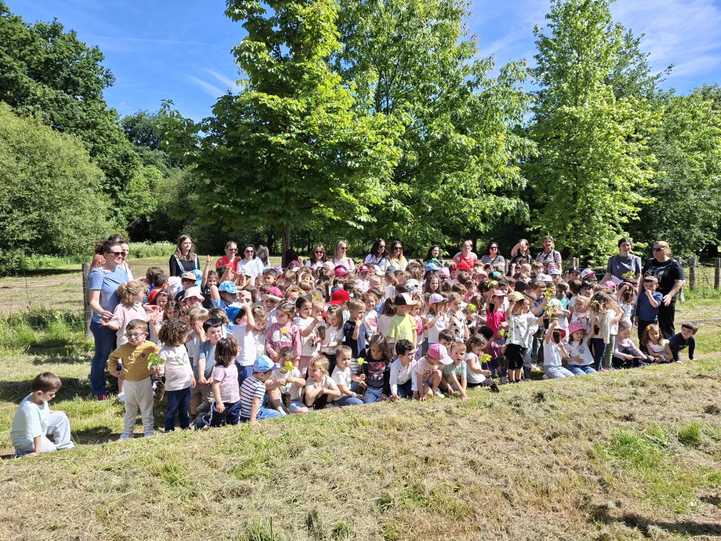 El Bosquín del Peña cuenta con 90 nuevos árboles