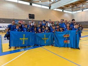Asturias logra la segunda posición en un campeonato de España de Nihon Tai-jitsu de récord
