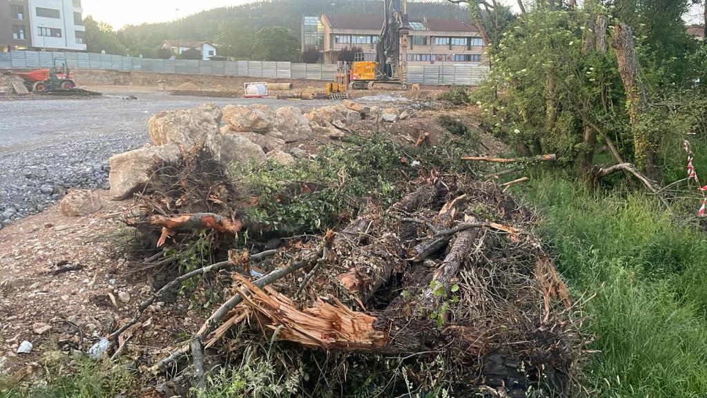La Coordinadora Ecoloxista denuncia nuevas talas en la ribera del río Severies en Posada de Llanera